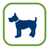 Hunde willkommen für Wohnmobil / Reismobil Urlauber auf dem Borntaler Hof
